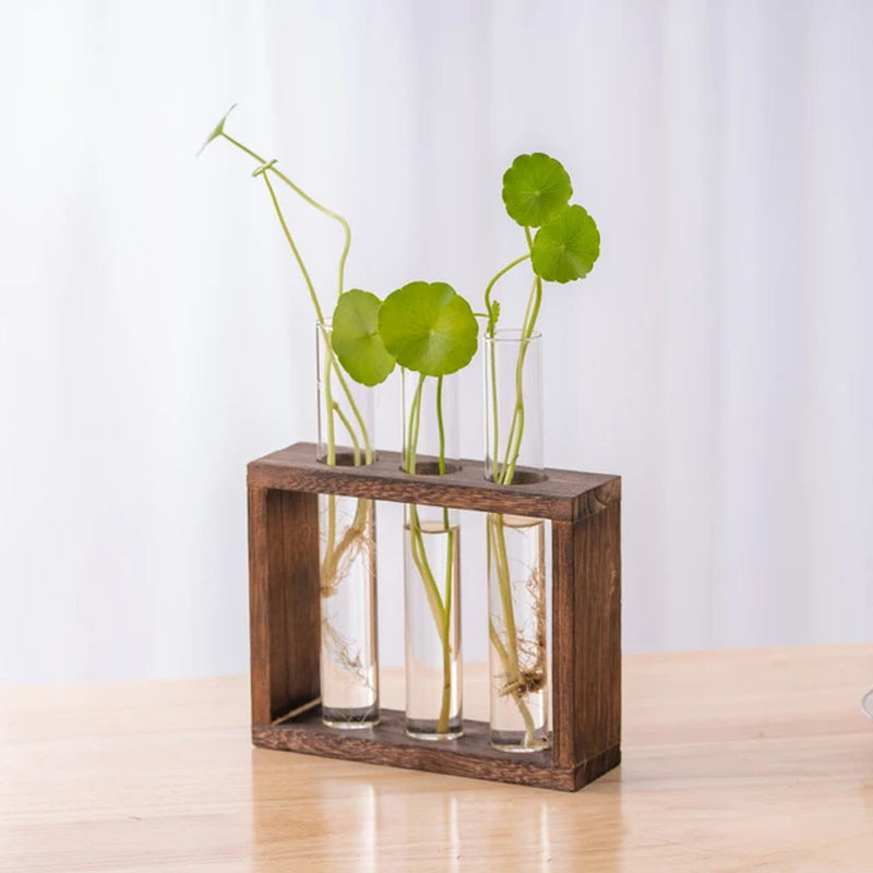 Hydroponic Plants Container with Wood Frame Transparent Glass Test Tube Vase Flower Pot Home Tabletop Bonsai Decorations Crafts