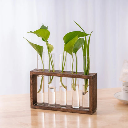 Hydroponic Plants Container with Wood Frame Transparent Glass Test Tube Vase Flower Pot Home Tabletop Bonsai Decorations Crafts