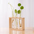 Hydroponic Plants Container with Wood Frame Transparent Glass Test Tube Vase Flower Pot Home Tabletop Bonsai Decorations Crafts