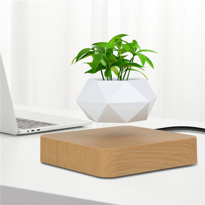 Levitating Air Bonsai Pot Rotation Flower Pot Planters Magnetic Suspension Floating Pot Potted Plant Home Desk Decor