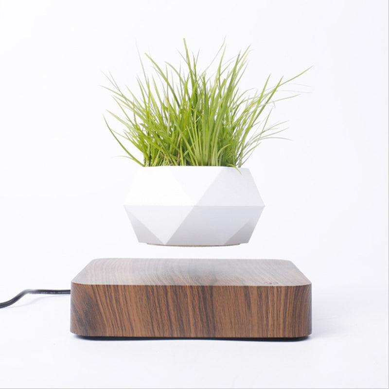 Levitating Air Bonsai Pot Rotation Flower Pot Planters Magnetic Suspension Floating Pot Potted Plant Home Desk Decor