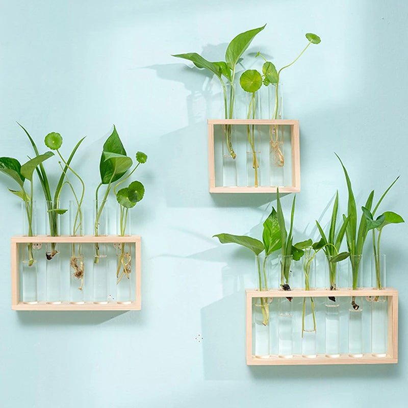 Hydroponic Plants Container with Wood Frame Transparent Glass Test Tube Vase Flower Pot Home Tabletop Bonsai Decorations Crafts