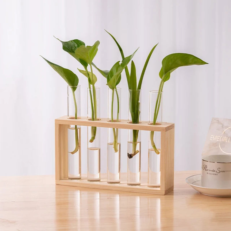 Hydroponic Plants Container with Wood Frame Transparent Glass Test Tube Vase Flower Pot Home Tabletop Bonsai Decorations Crafts