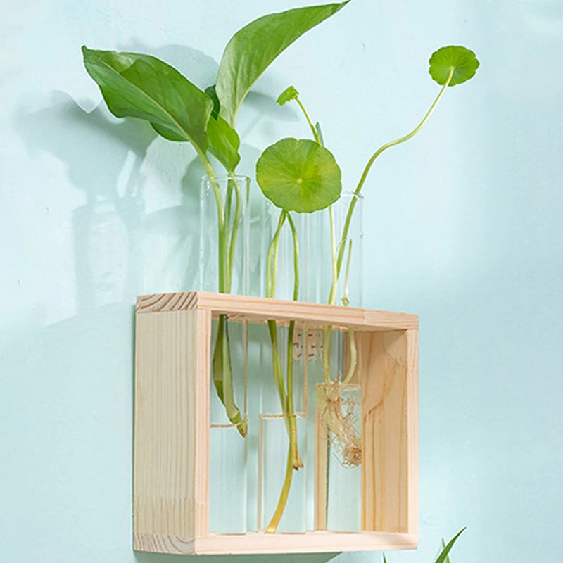 Hydroponic Plants Container with Wood Frame Transparent Glass Test Tube Vase Flower Pot Home Tabletop Bonsai Decorations Crafts